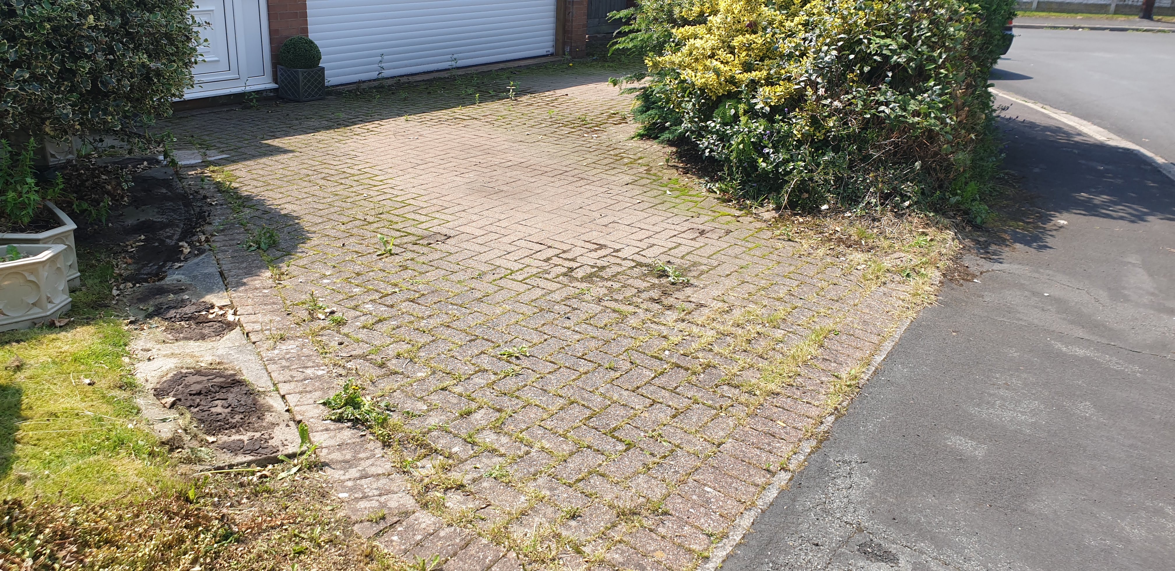 Driveway with weeds and moss before cleaning