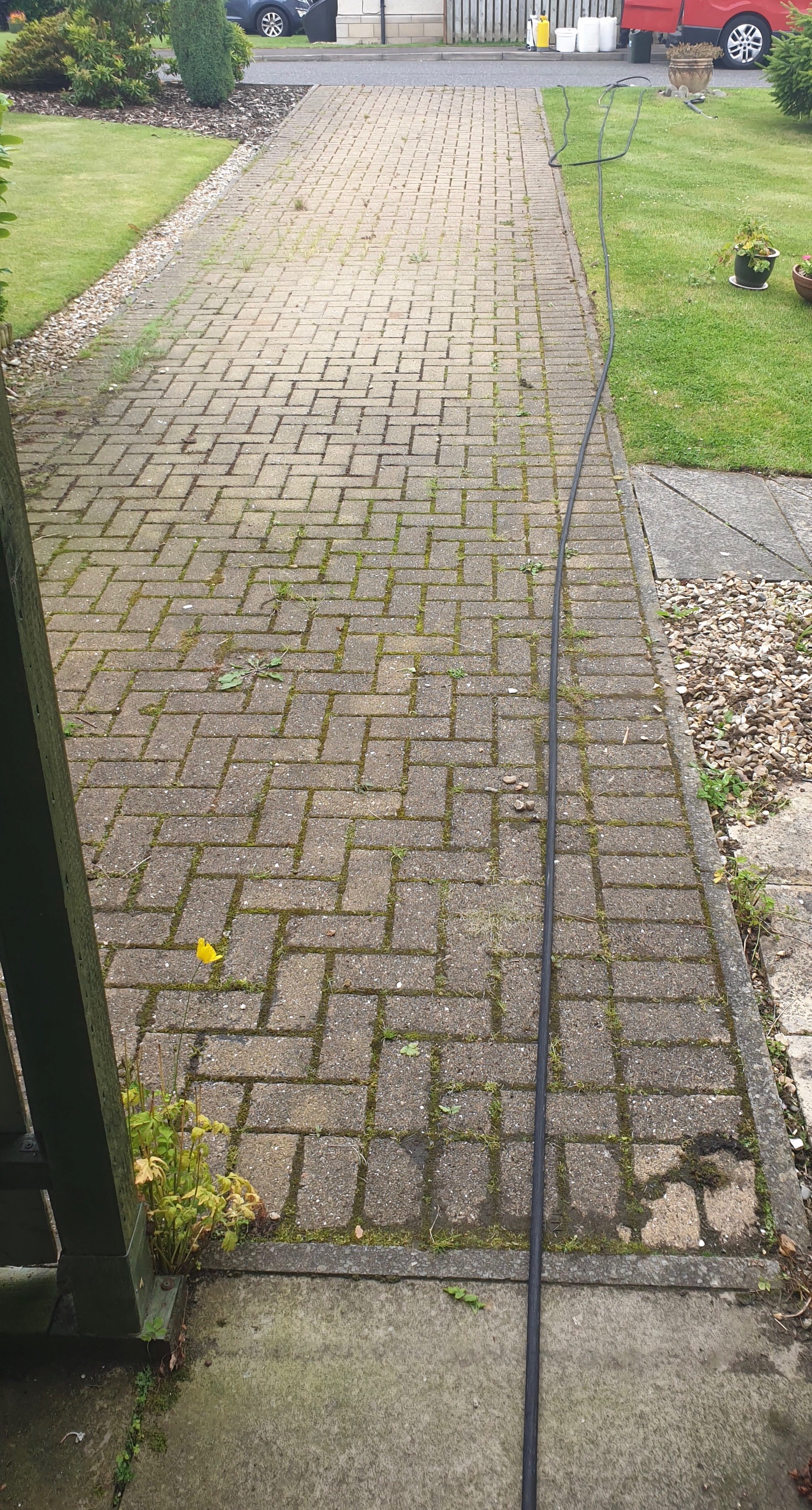 Driveway covered in weeds before treatment