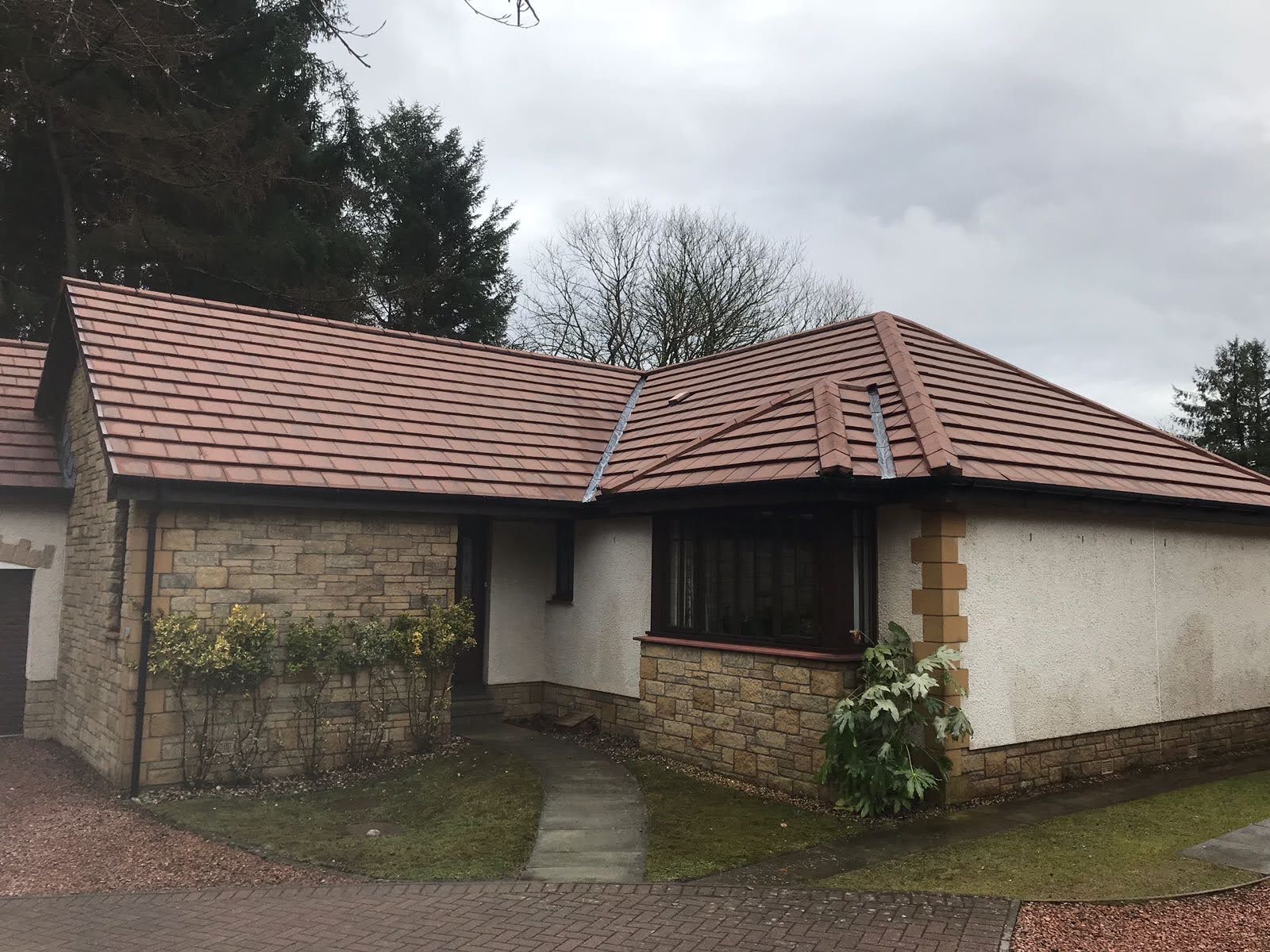 House exterior with roof cleaning