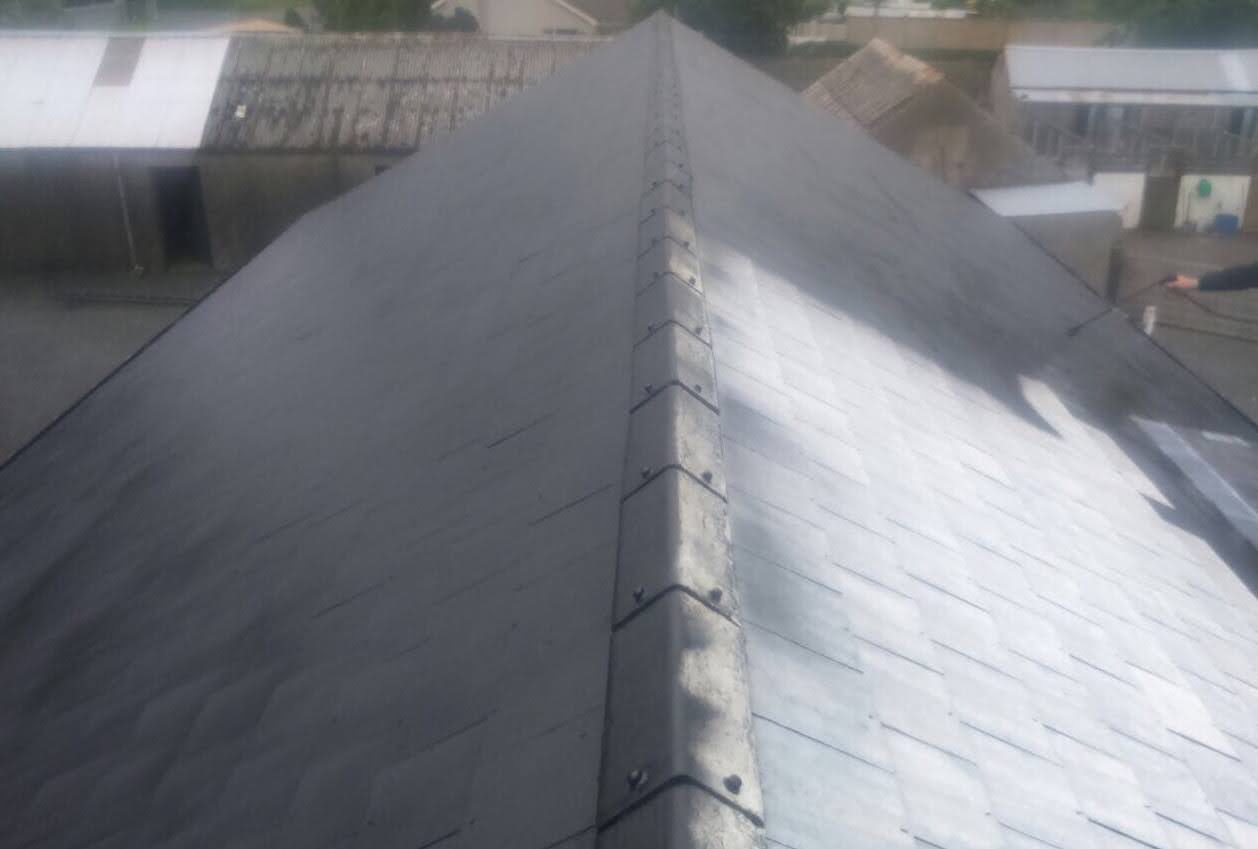 Roof cleaning and coating service