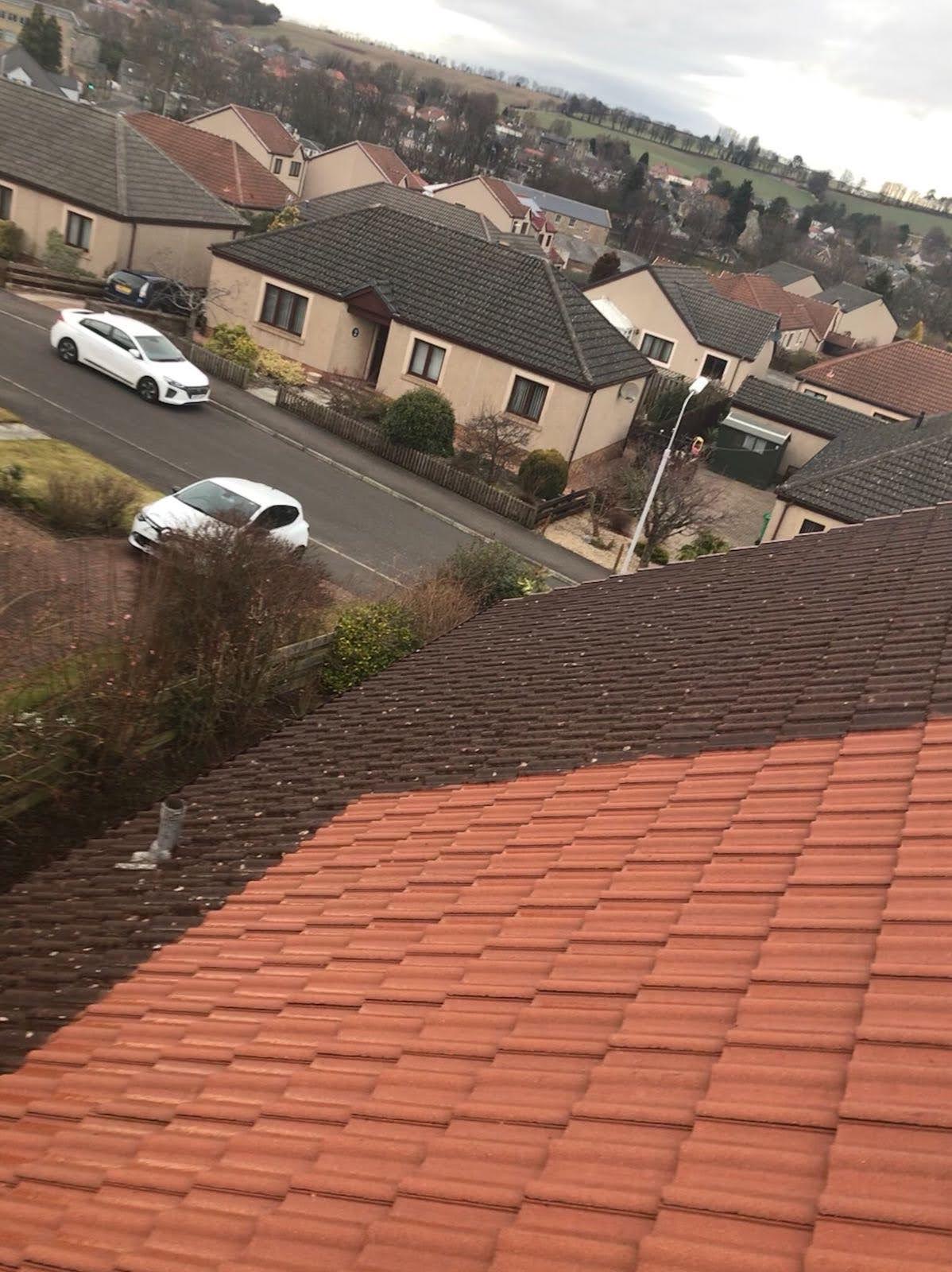 Roof cleaning before and after comparison
