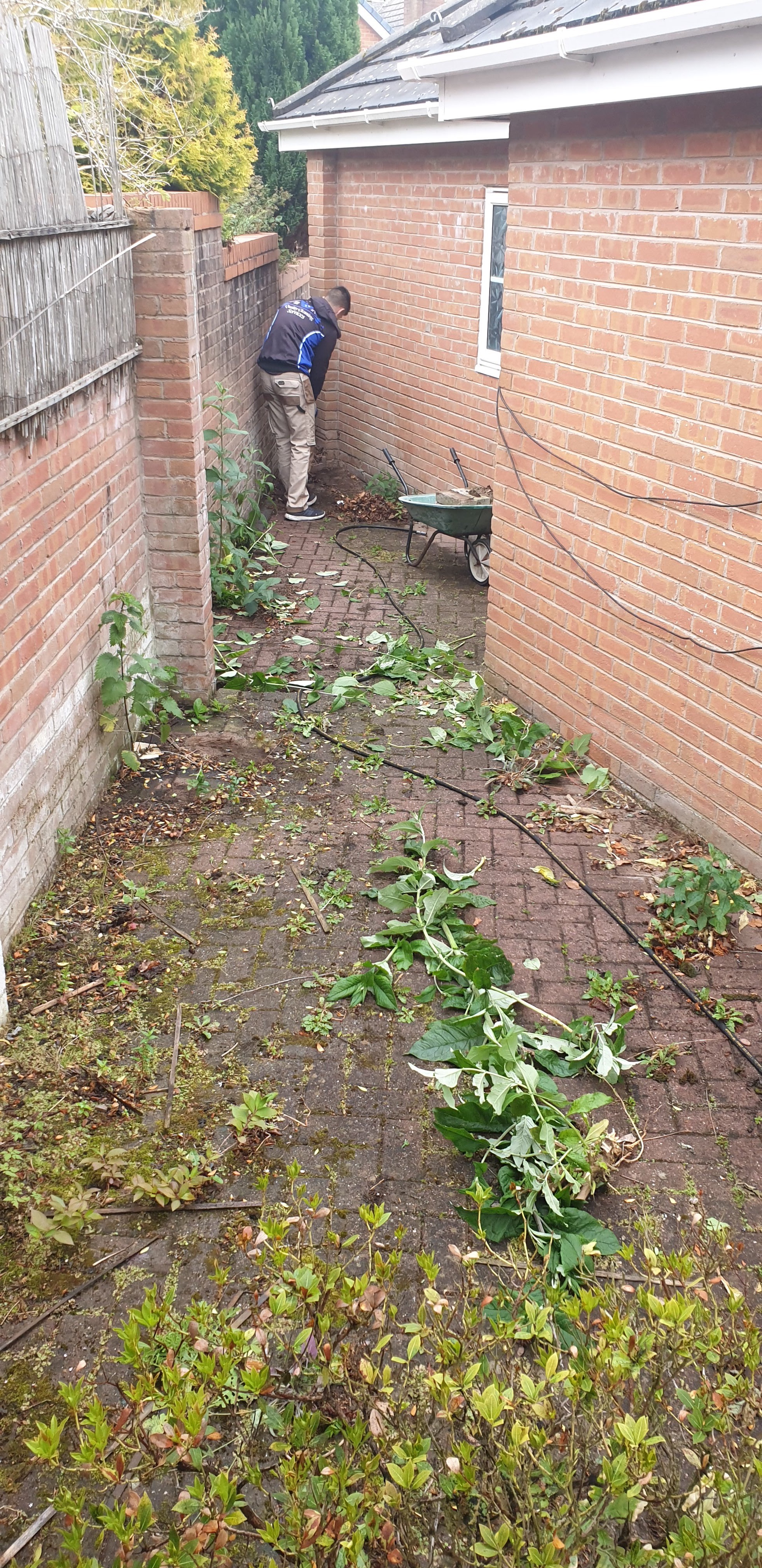 Walkway cleaning with moss removal