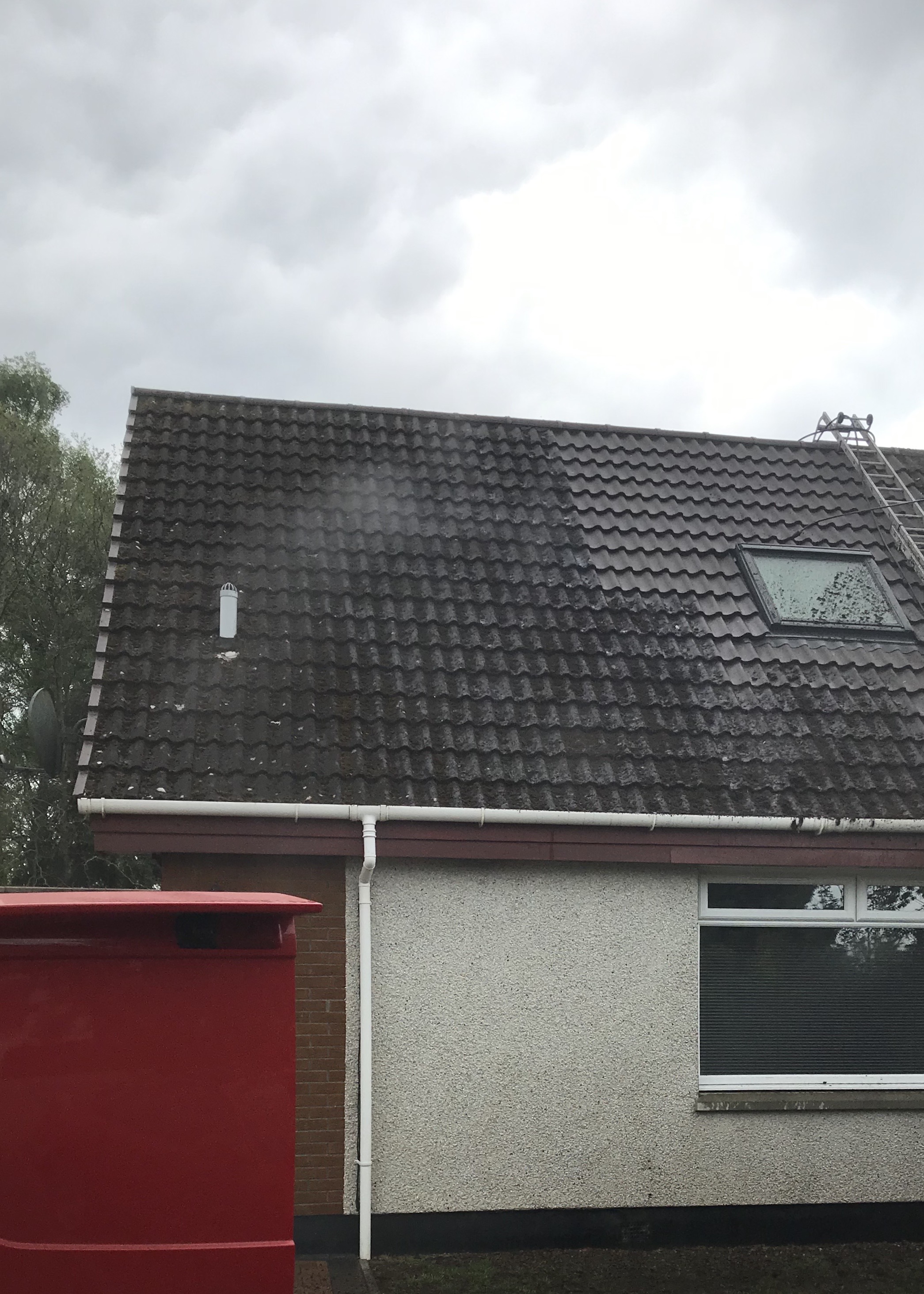 Roof moss removal before and after