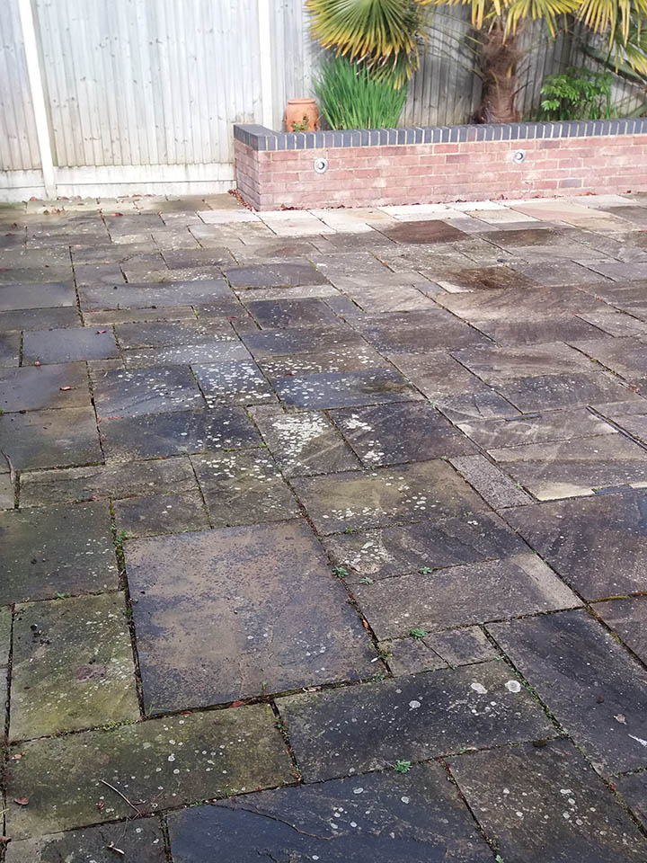 Patio slabs with moss and algae buildup
