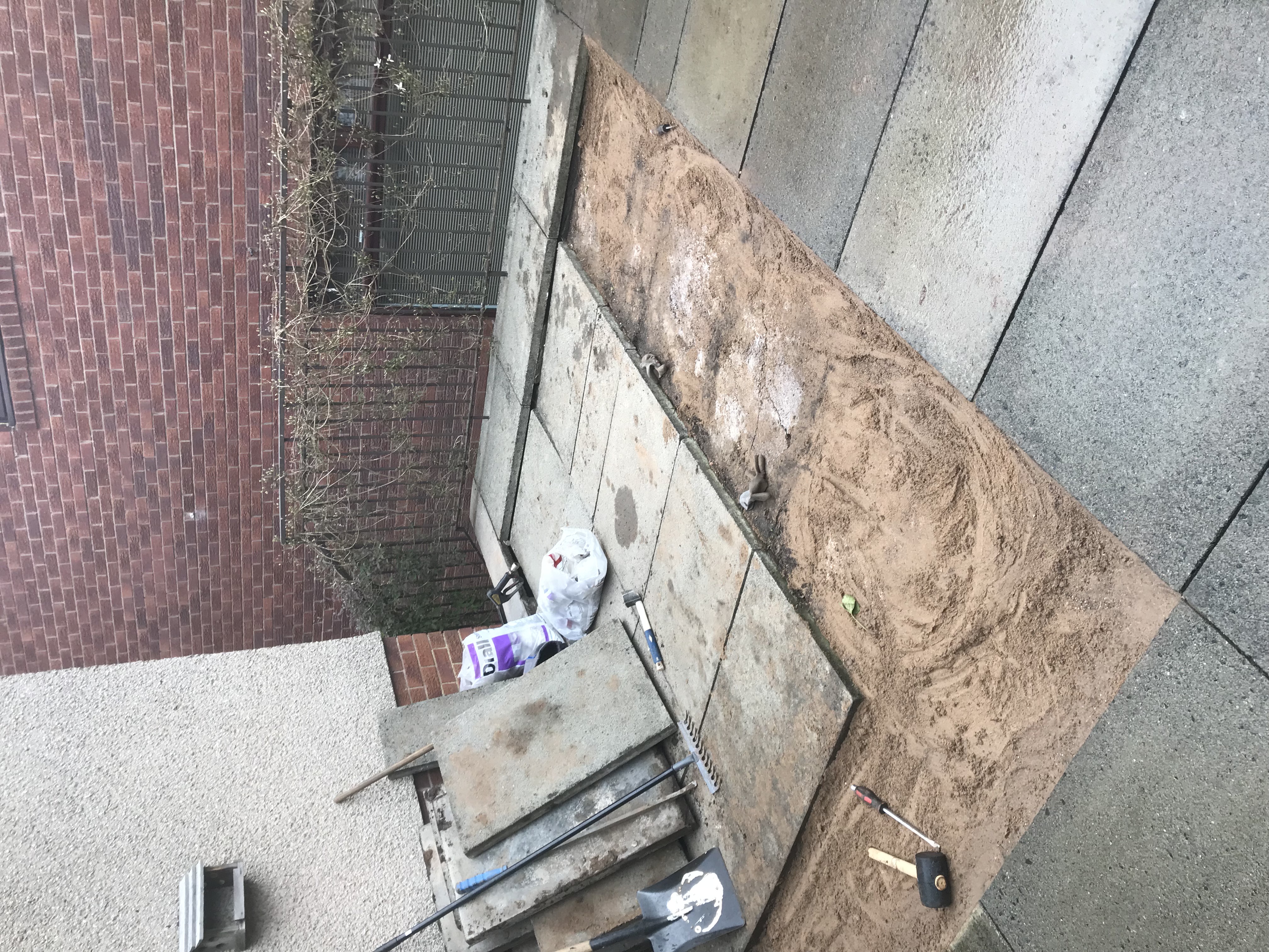 Roof inspection and cleaning service