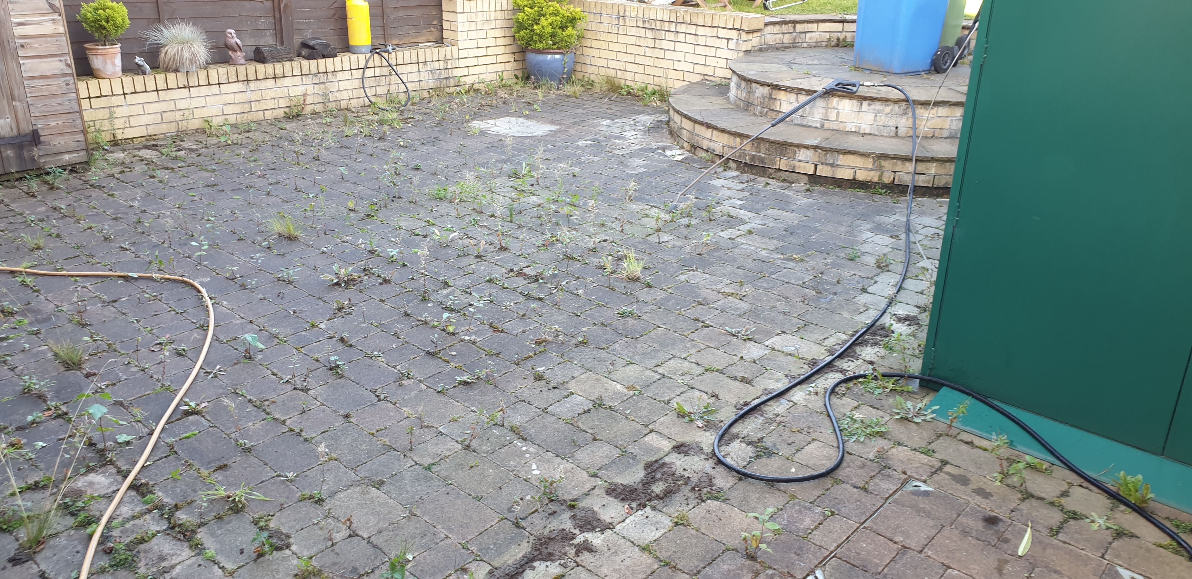 Professional house cleaning service