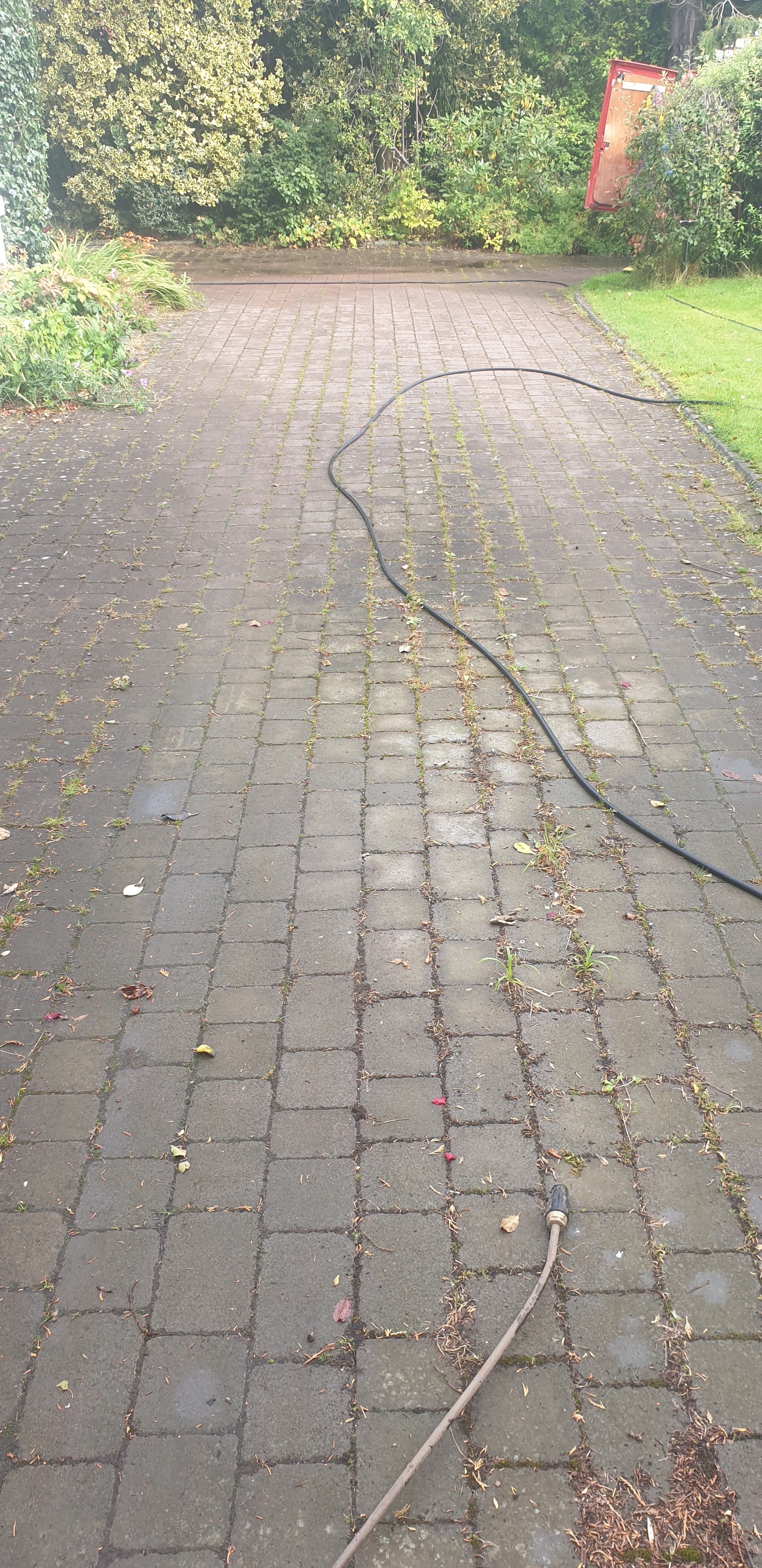 Block paving driveway covered with moss and weeds