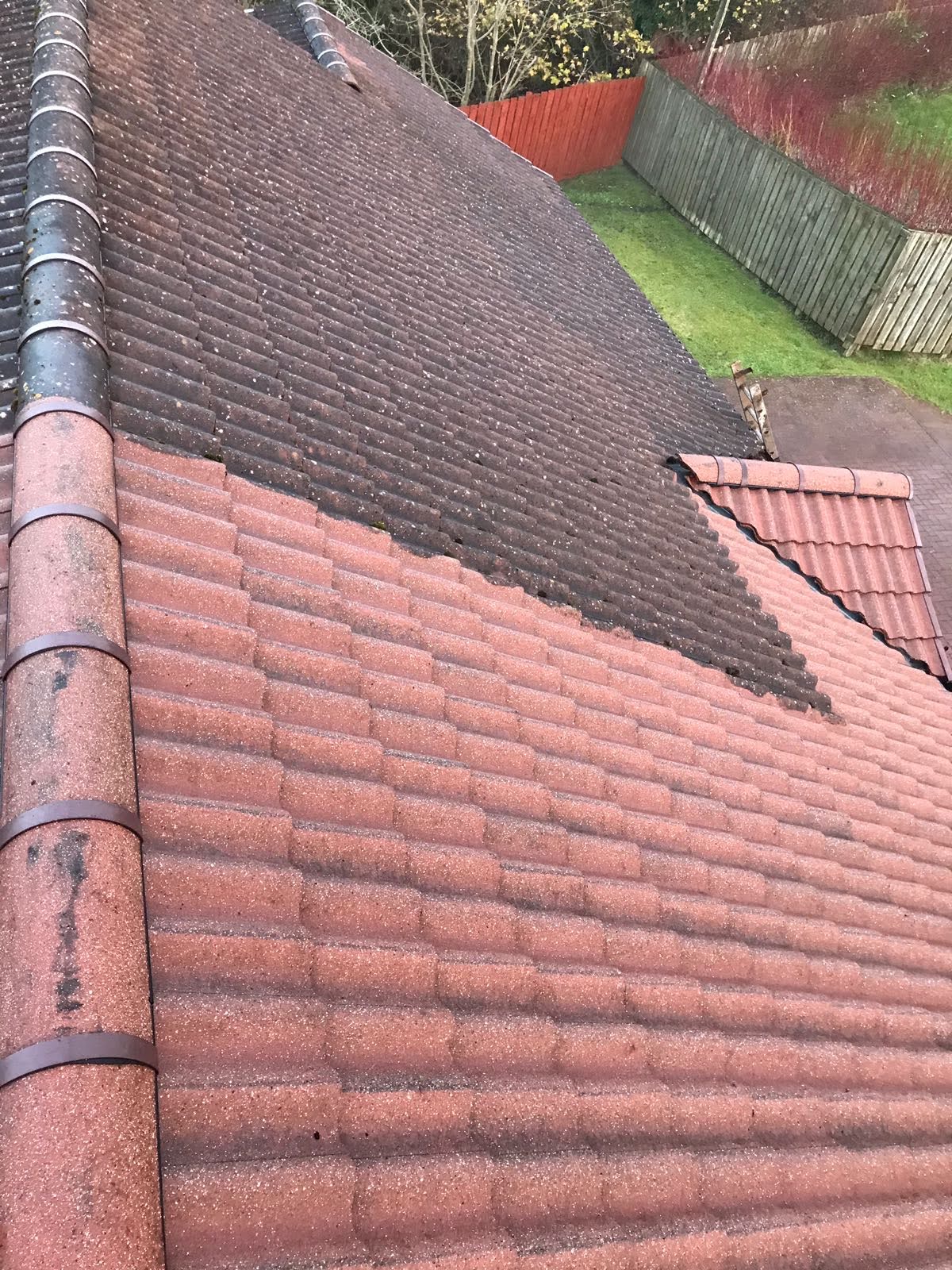 Roof tiles before and after cleaning comparison