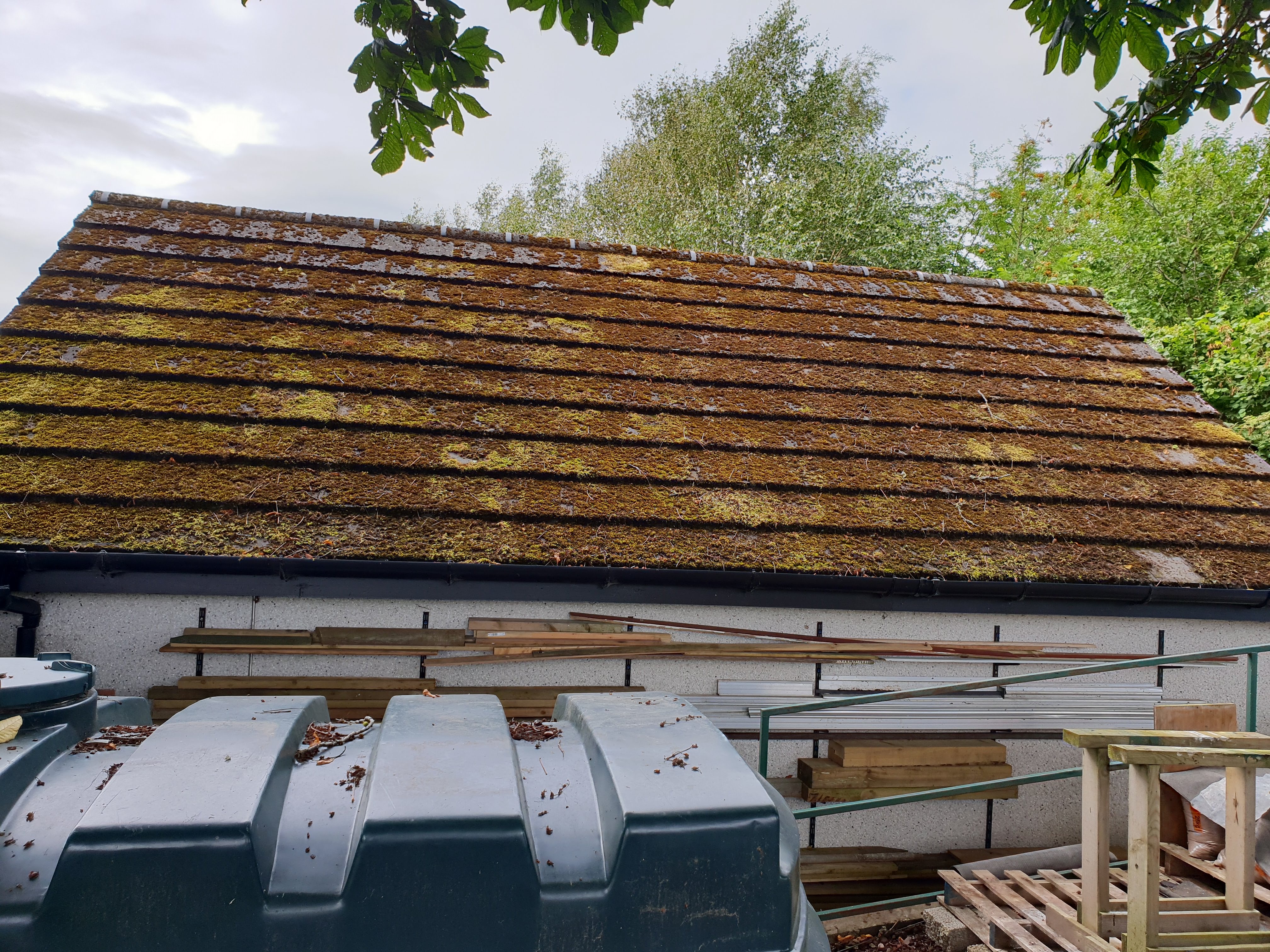 Moss covered roof requiring treatment