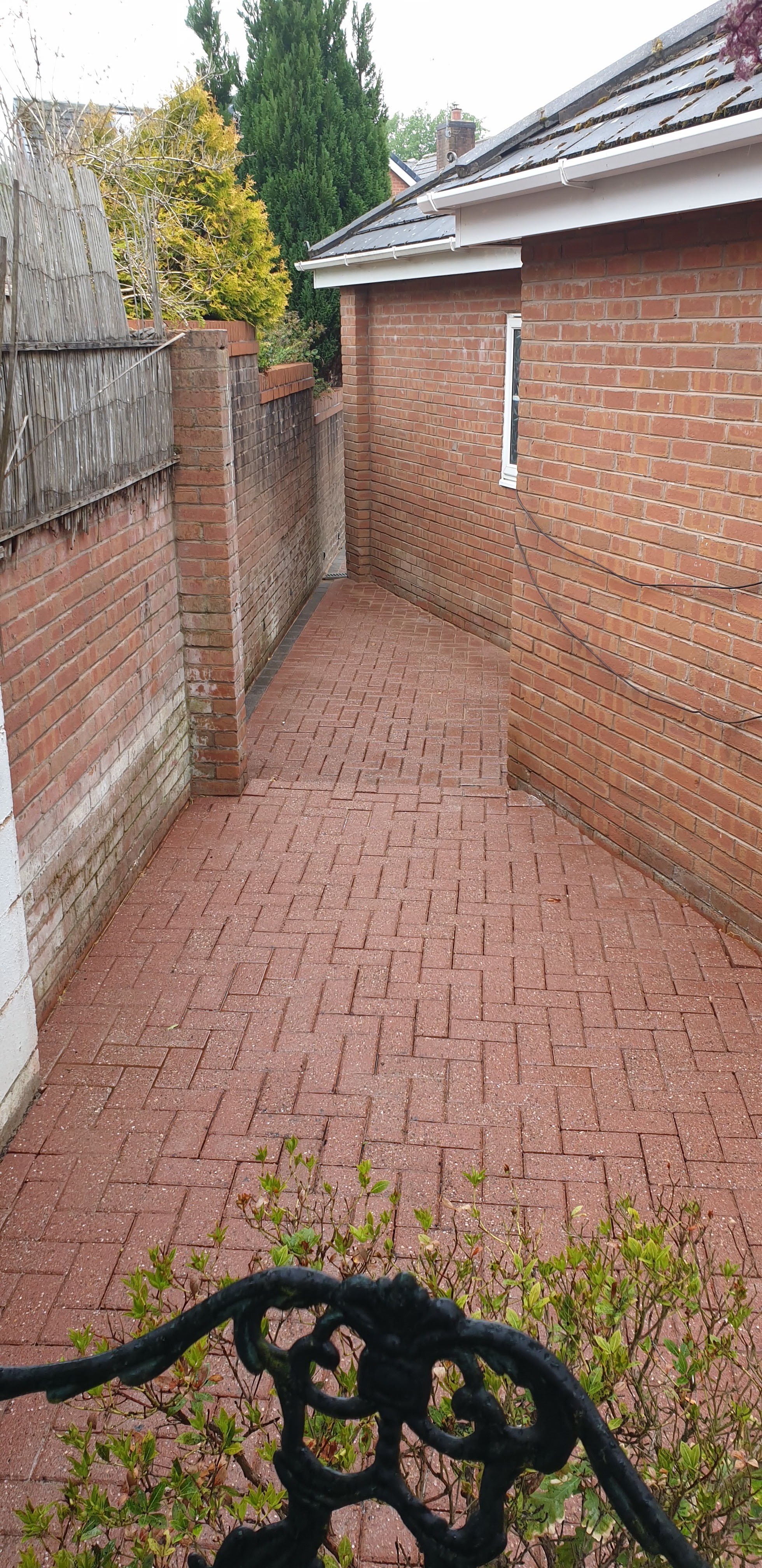 Professional roof treatment