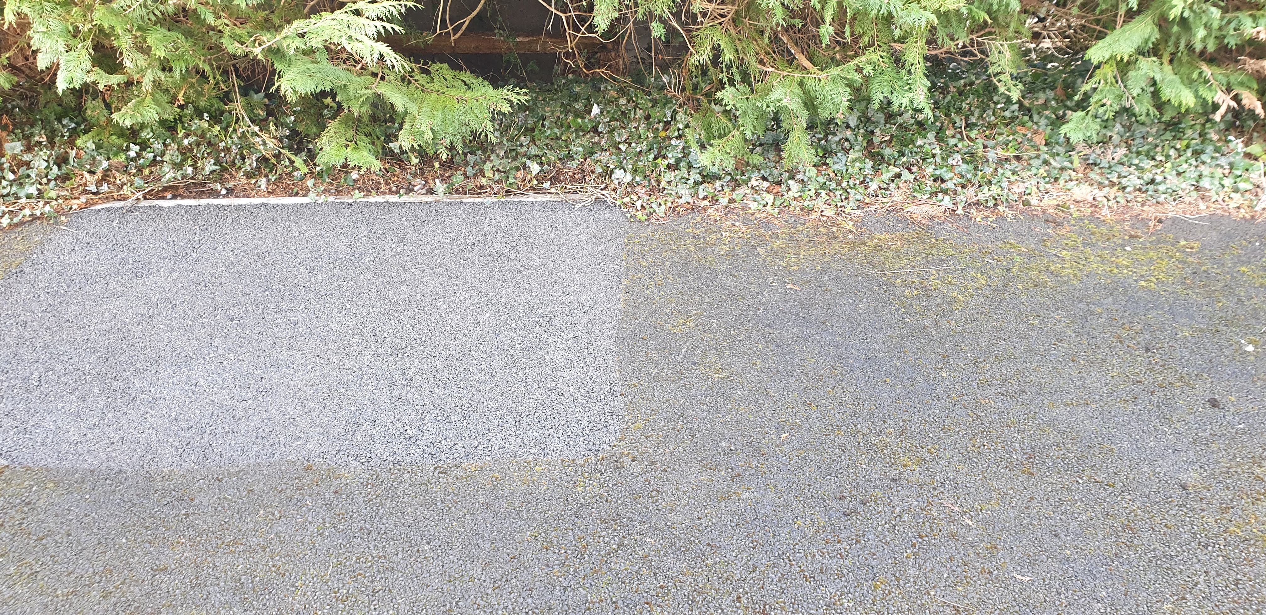 Roof maintenance and cleaning