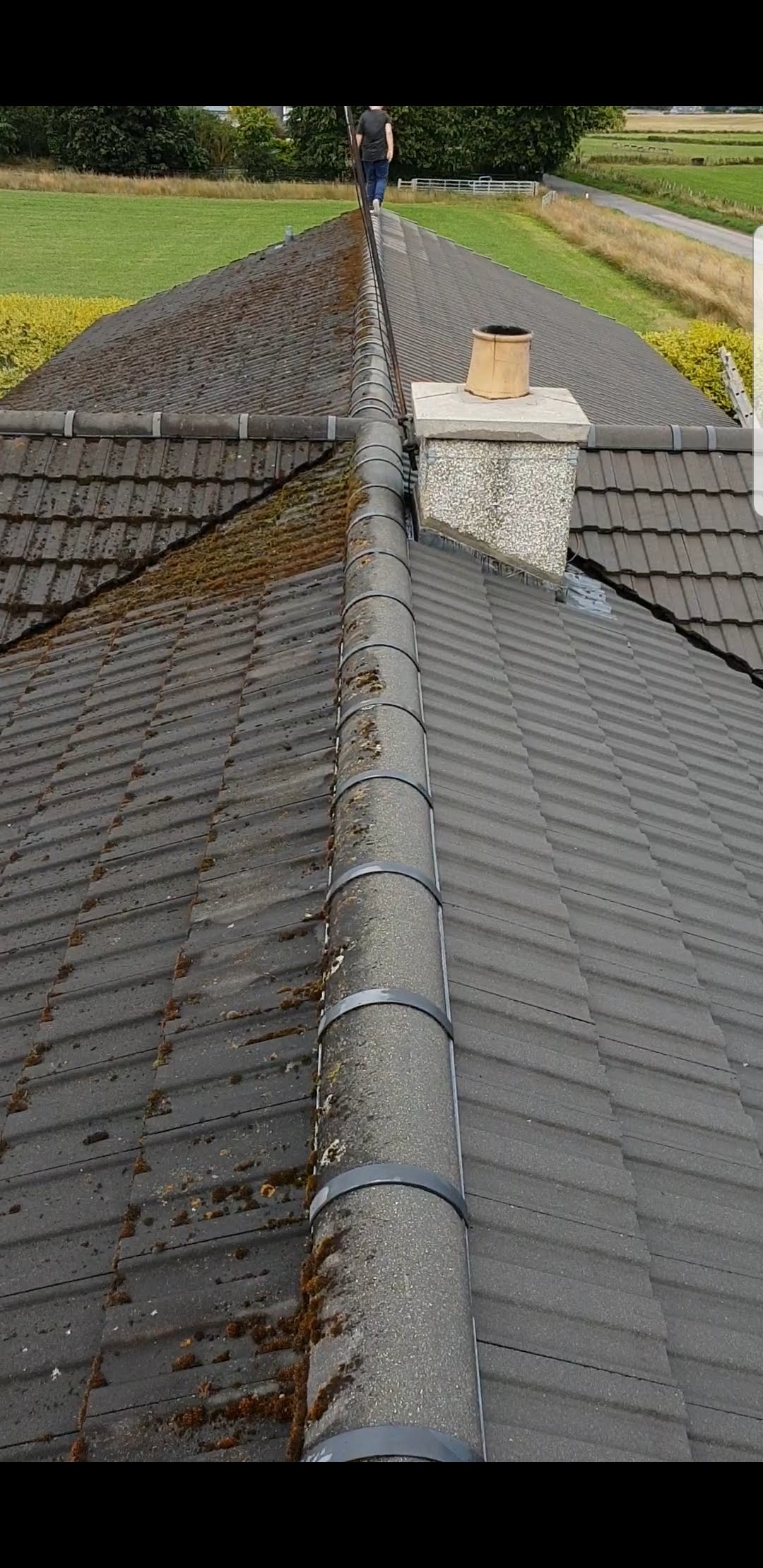 Walkway professional cleaning service