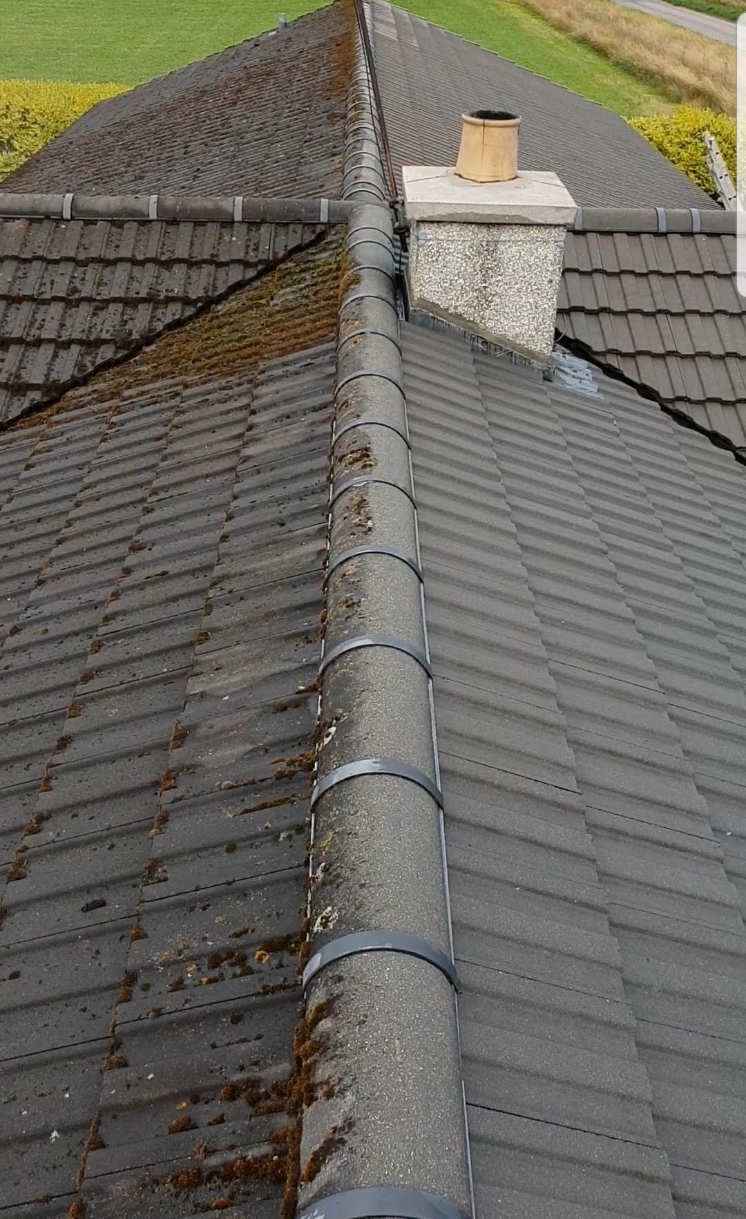 Patio and walkway restoration work