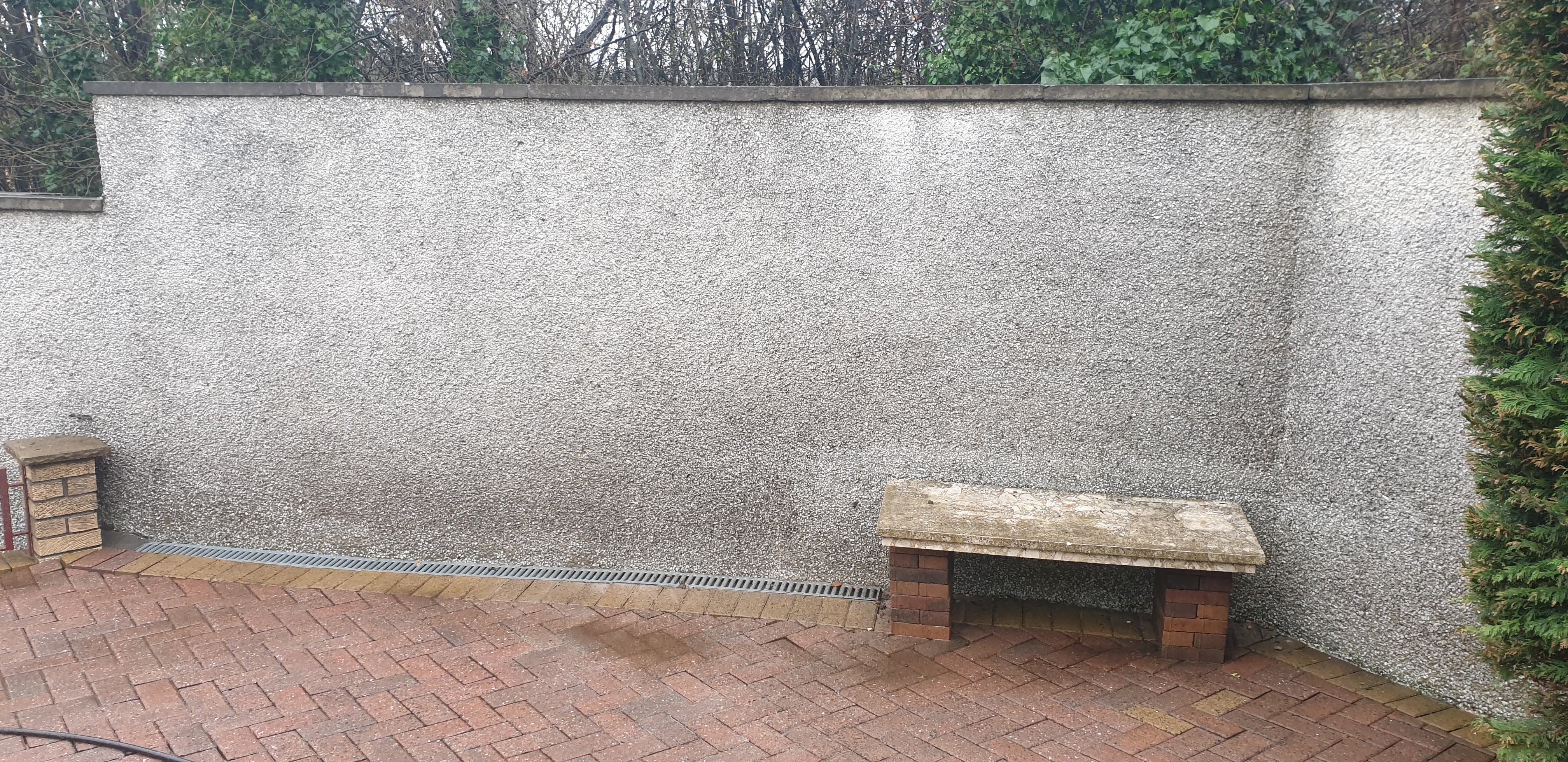 Tile roof professional cleaning